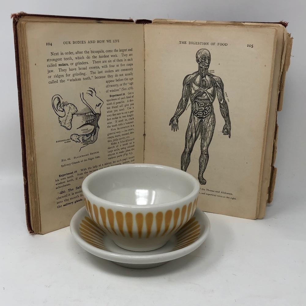 Vintage Mid Century Modern Jackson Dinnerware